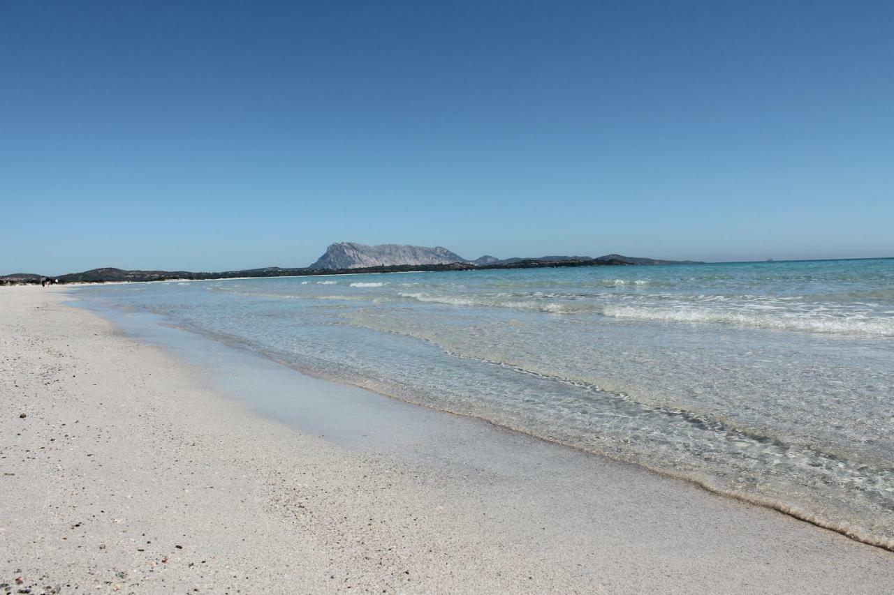 Вилла Villetta Indipendente Fronte Spiaggia Будони Экстерьер фото